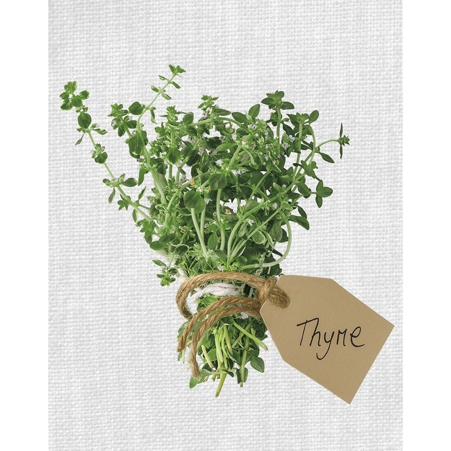 Thyme Poster Print by Assaf Frank-VARPDX18460 Image 1