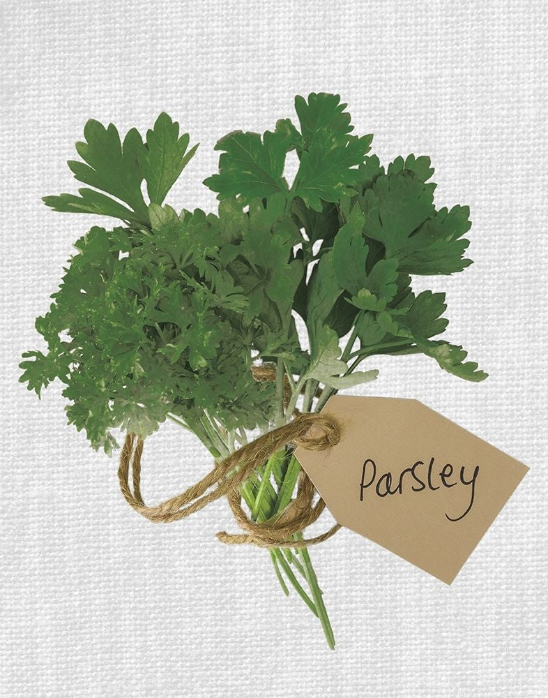 Parsley Poster Print by Assaf Frank-VARPDX18463 Image 1