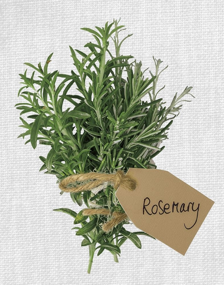 Rosemary Poster Print by Assaf Frank-VARPDX18464 Image 1