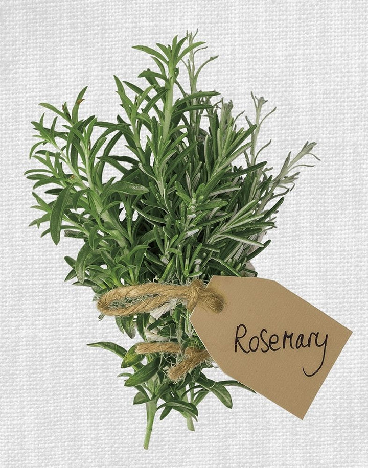 Rosemary Poster Print by Assaf Frank-VARPDX18464 Image 1