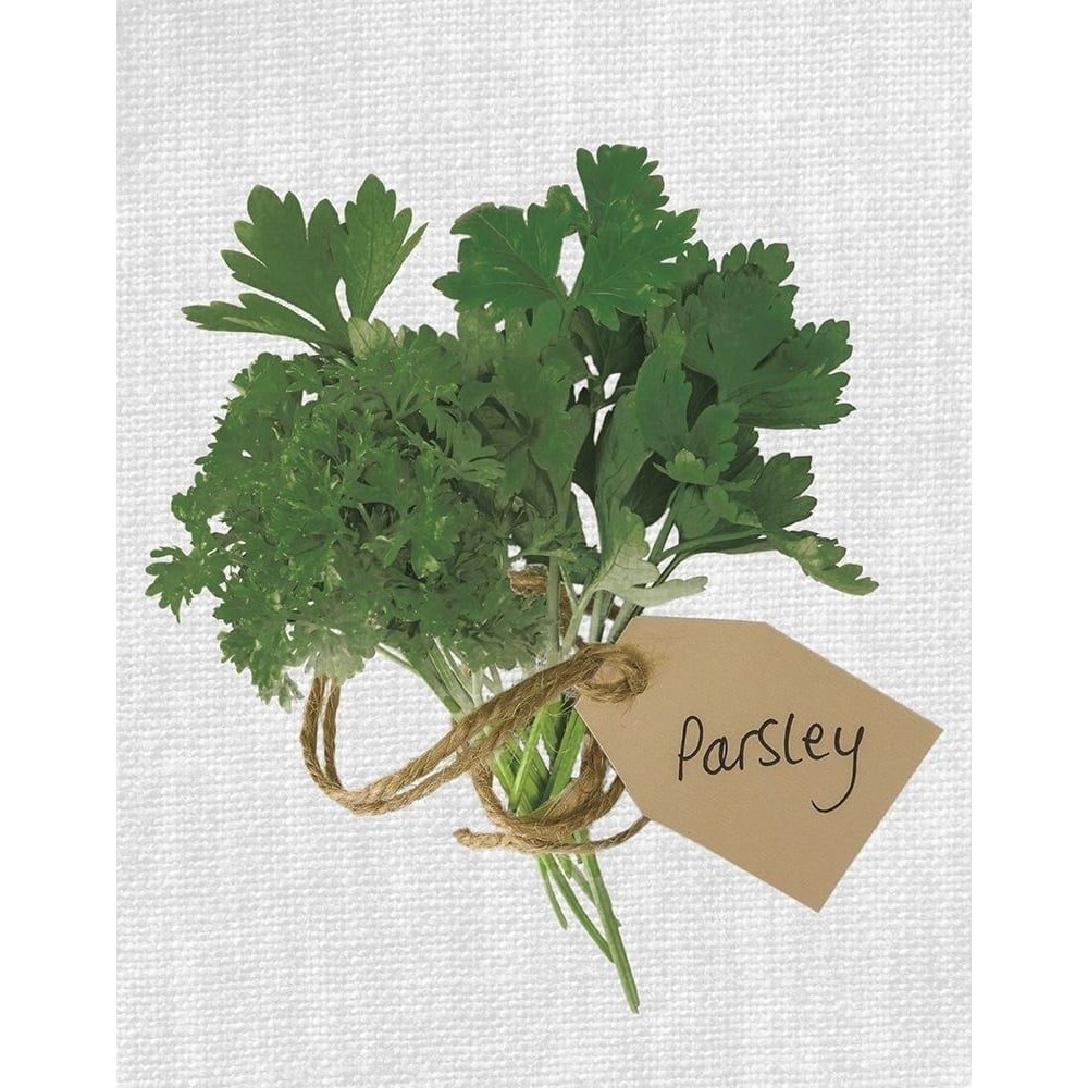 Parsley Poster Print by Assaf Frank-VARPDX18463 Image 2