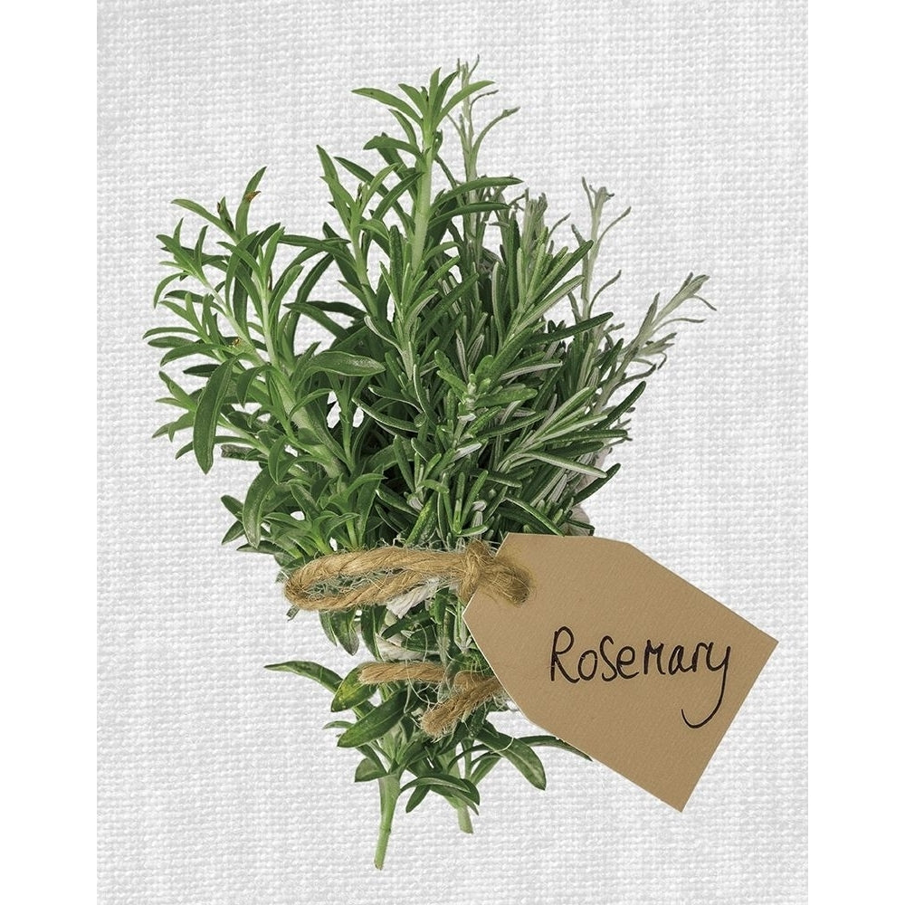 Rosemary Poster Print by Assaf Frank-VARPDX18464 Image 2