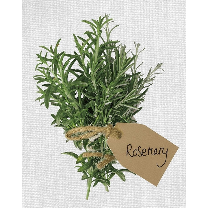 Rosemary Poster Print by Assaf Frank-VARPDX18464 Image 2