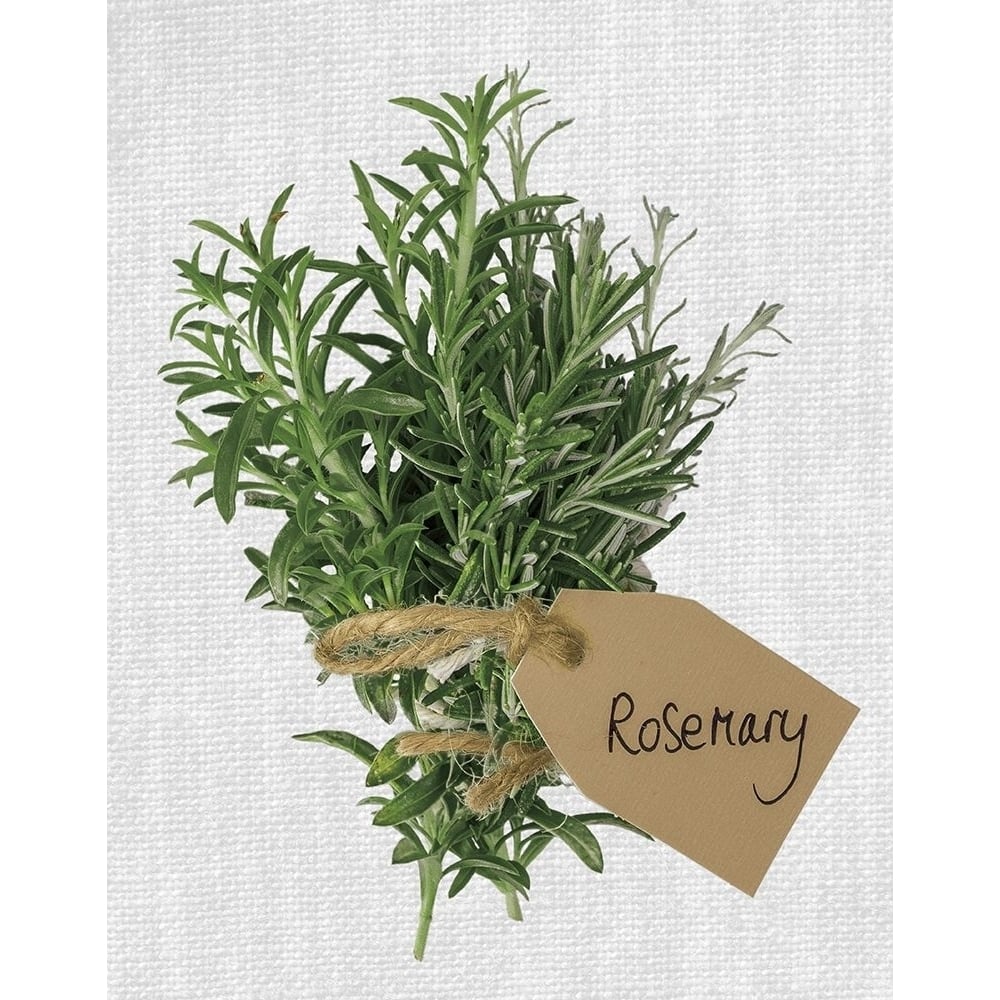 Rosemary Poster Print by Assaf Frank-VARPDX18464 Image 1