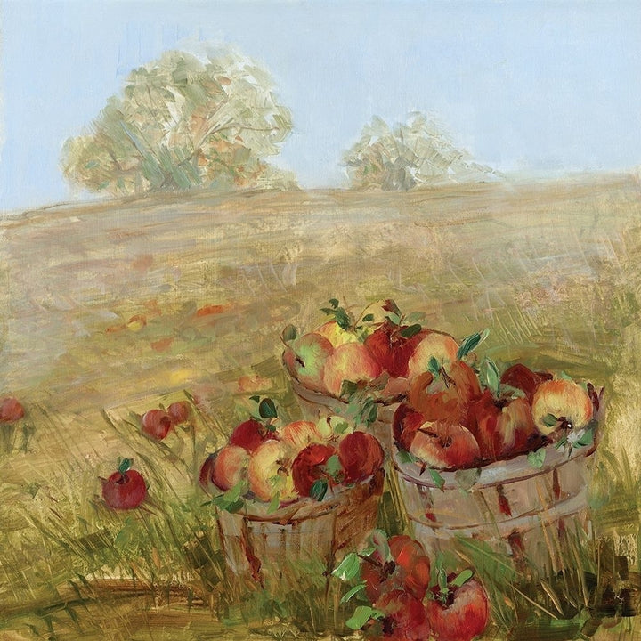 Apple Picking I Poster Print by Sally Swatland-VARPDX18485 Image 1