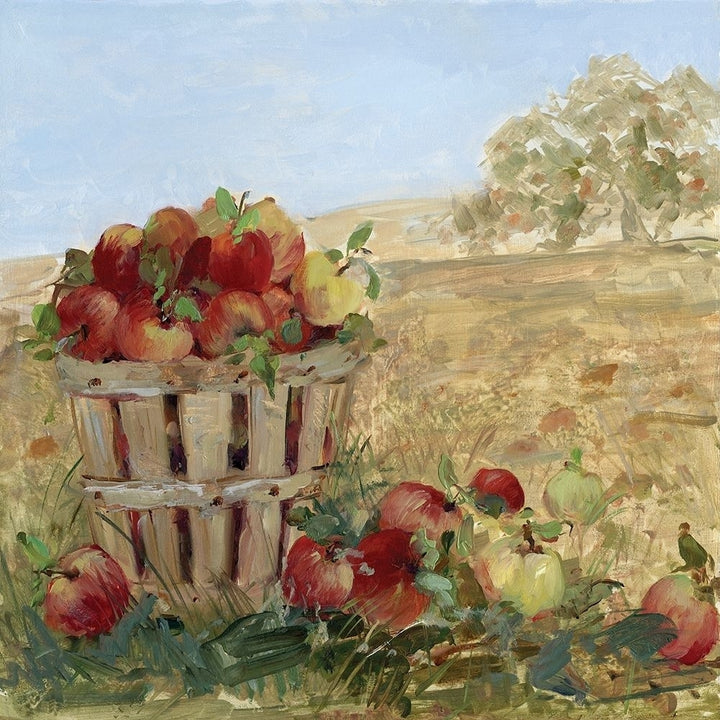 Apple Picking III Poster Print by Sally Swatland-VARPDX18487 Image 1