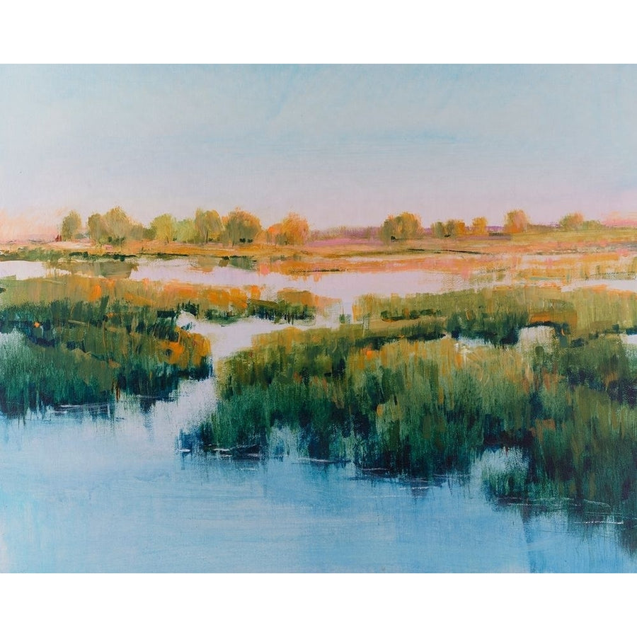 Marshland View II Poster Print - Tim OToole-VARPDX185101FN Image 1