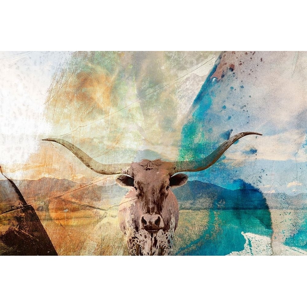 Longhorn Poster Print - Sisa Jasper-VARPDX185240Z Image 1