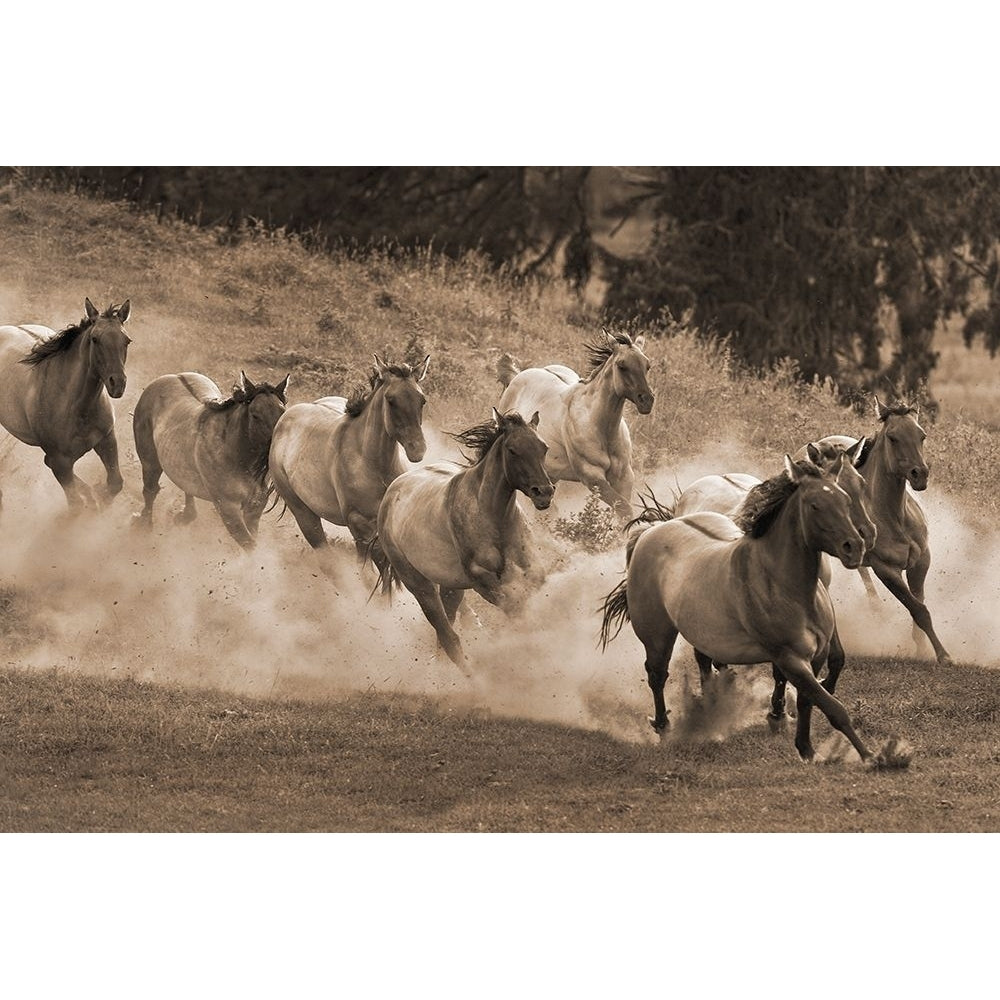 Leader of the Pack Poster Print by Robert Dawson-VARPDX1854 Image 1