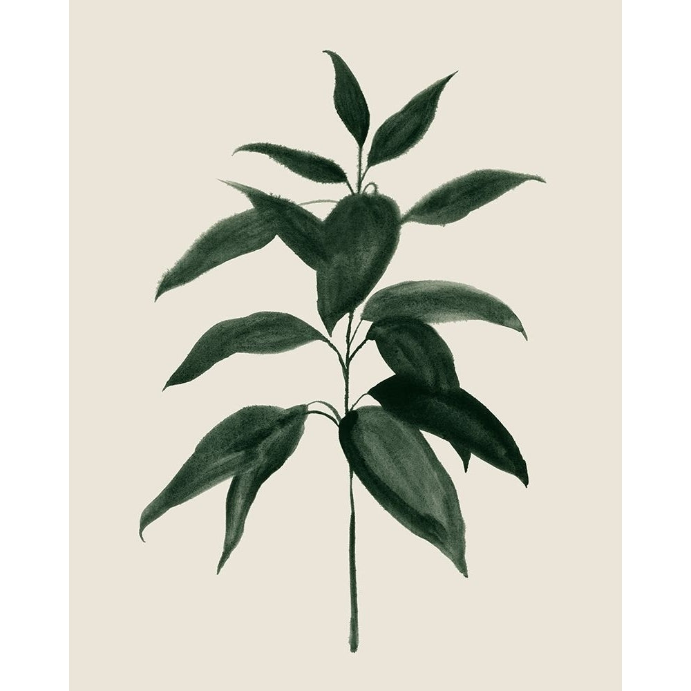 Soft Greenery I Poster Print - Grace Popp-VARPDX185414Z Image 1