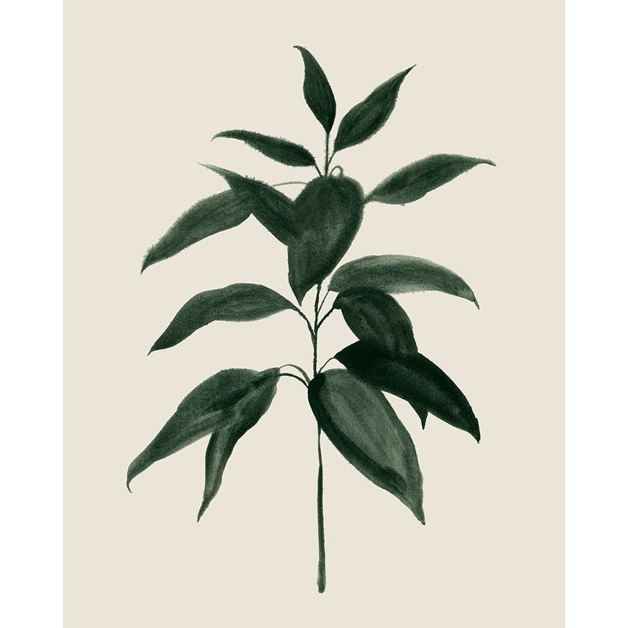 Soft Greenery I Poster Print - Grace Popp-VARPDX185414Z Image 1