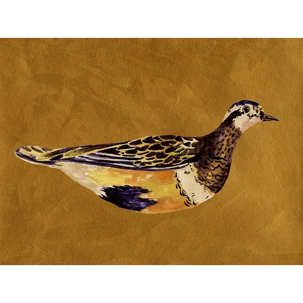 Feathered Friend II Poster Print - Melissa Wang-VARPDX185767Z Image 1