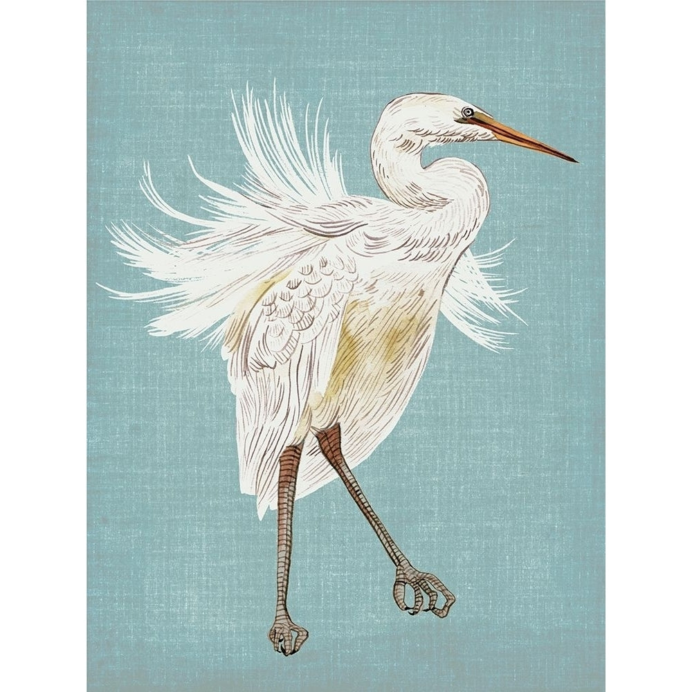 Heron Plumage III Poster Print - Melissa Wang-VARPDX185772Z Image 1