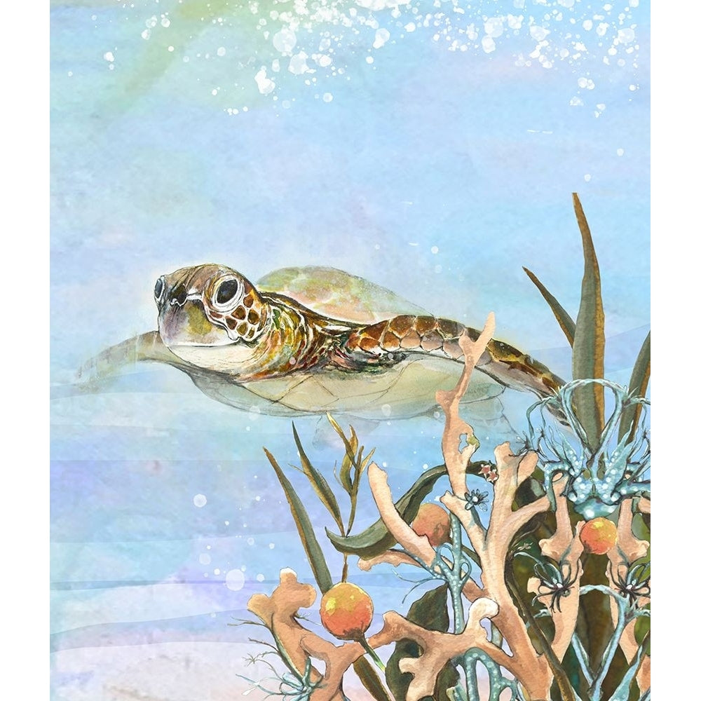 Turtle By The Reef II Poster Print - Diannart-VARPDX18578 Image 1