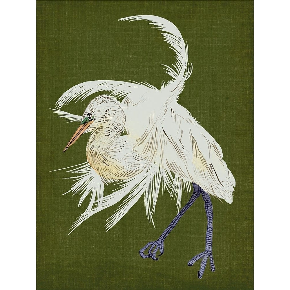 Heron Plumage II Poster Print - Melissa Wang-VARPDX185771Z Image 1