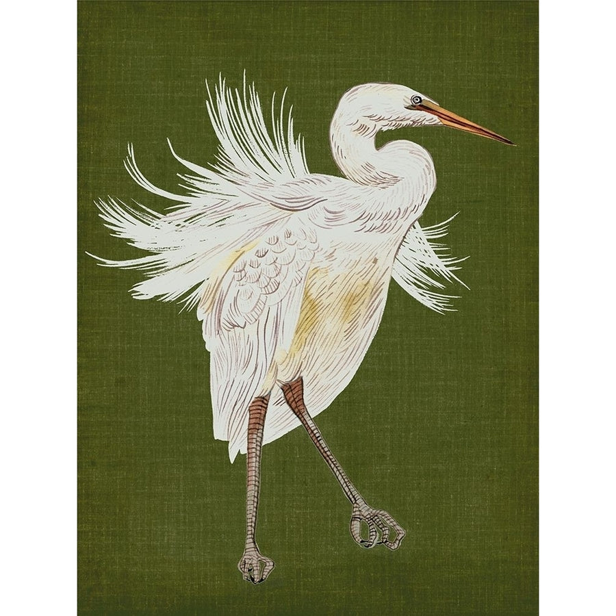 Heron Plumage I Poster Print - Melissa Wang-VARPDX185770Z Image 1