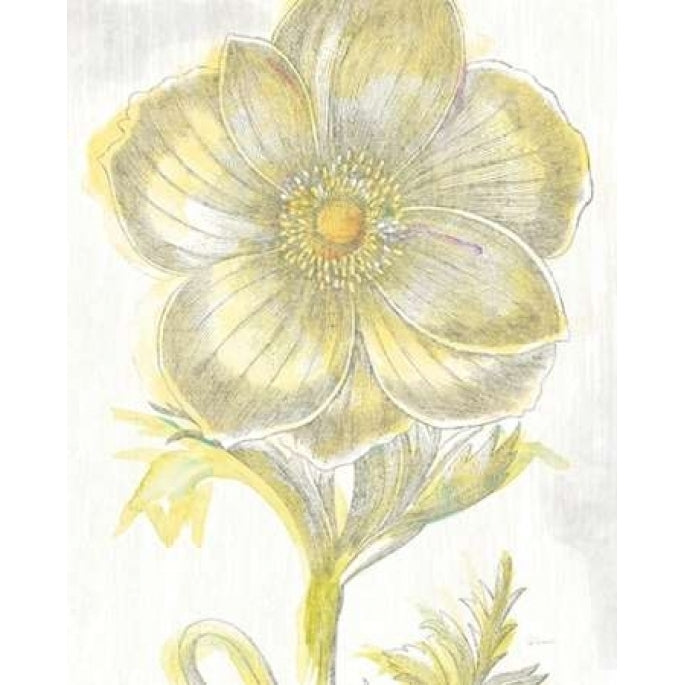 Belle Fleur Yellow II Crop Poster Print by Sue Schlabach-VARPDX18647 Image 1