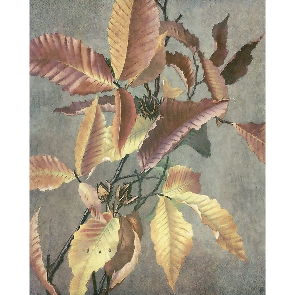 Ancient Autumn I Poster Print - Steve Hunziker-VARPDX186803Z Image 1