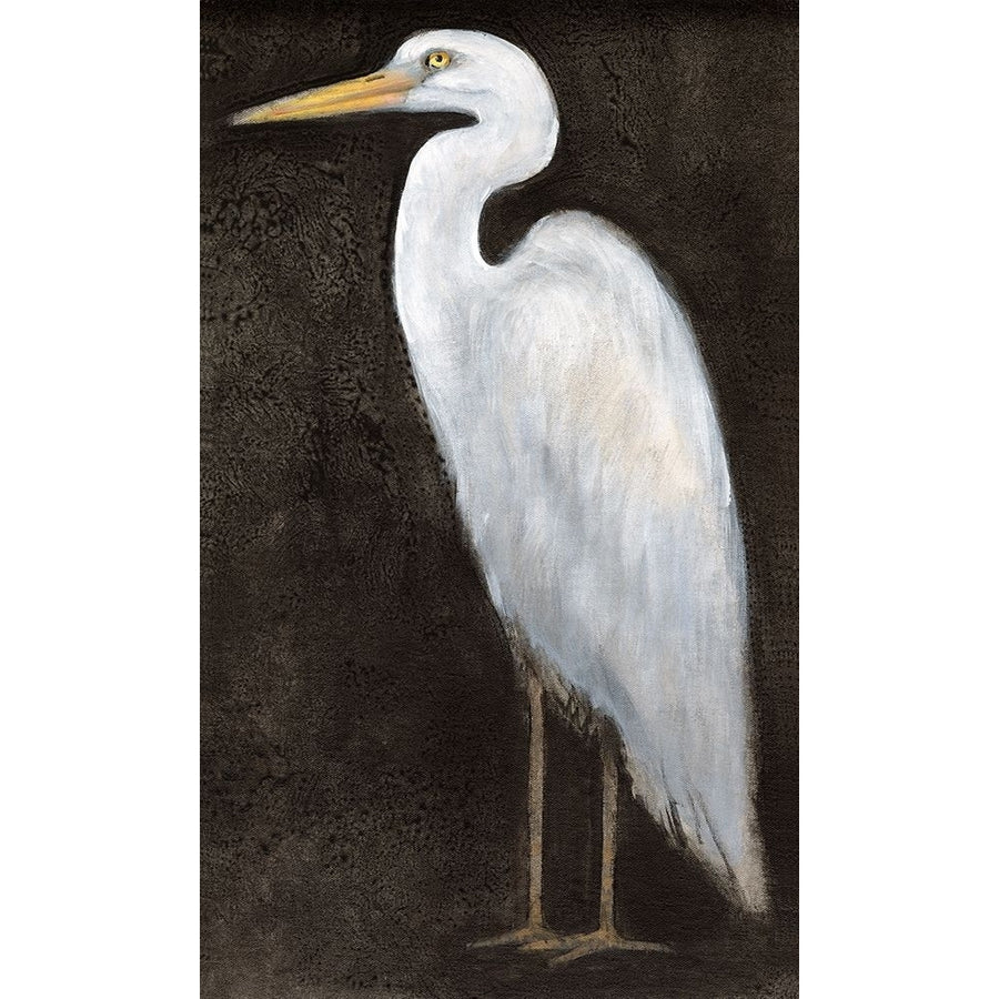 White Heron Portrait II Poster Print - Tim OToole-VARPDX186905Z Image 1