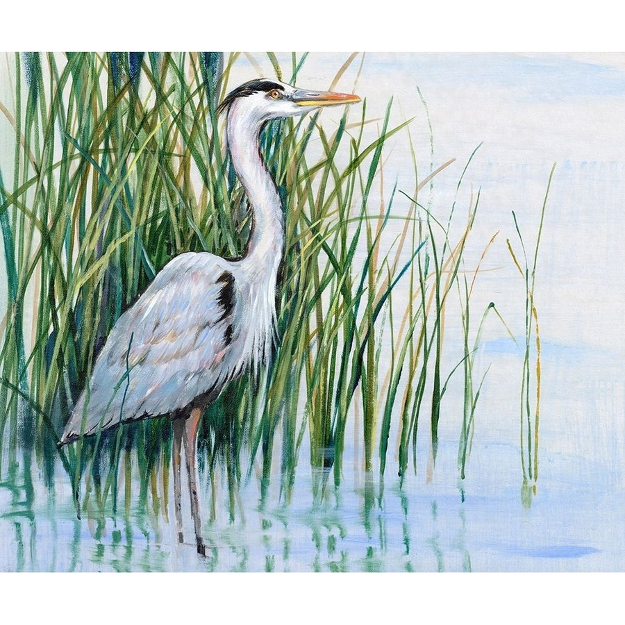 Heron in the Marsh I Poster Print - Tim OToole-VARPDX186906Z Image 1