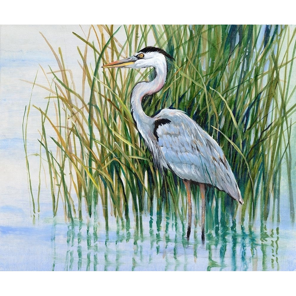 Heron in the Marsh II Poster Print - Tim OToole-VARPDX186907Z Image 1