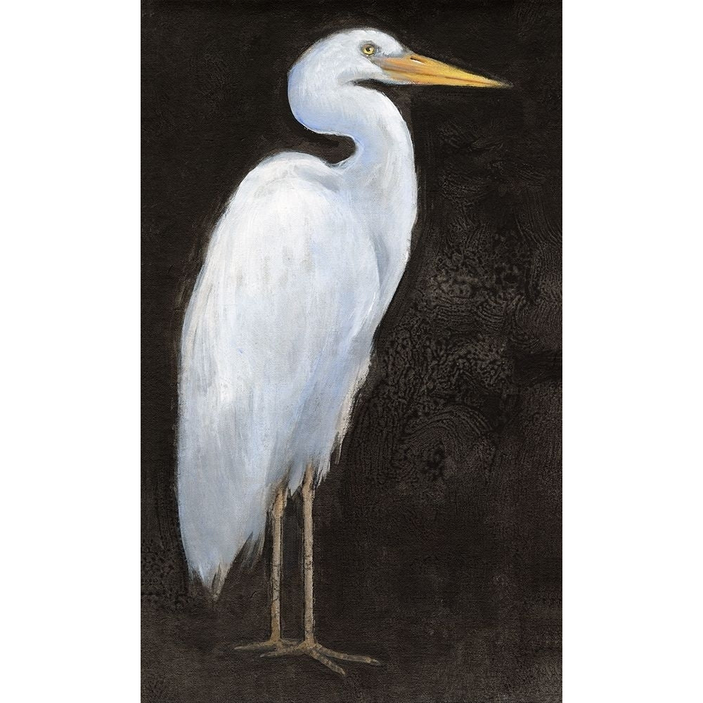 White Heron Portrait I Poster Print - Tim OToole-VARPDX186904Z Image 1