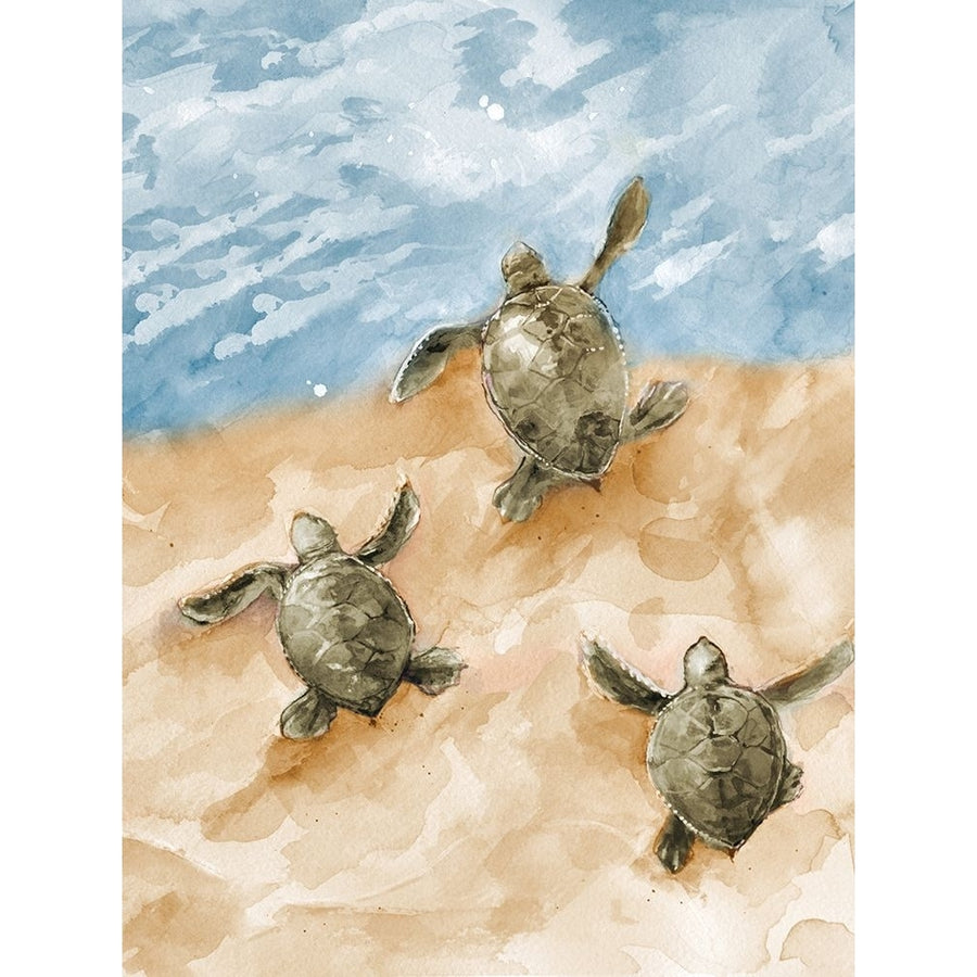 Turtles Heading Out To Sea Poster Print - Diannart-VARPDX18690A Image 1