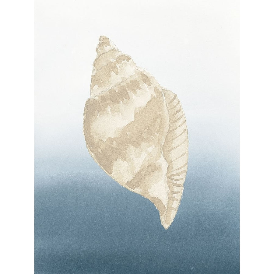 Coastal Tan Shell II Poster Print - Lucille Price-VARPDX18733A Image 1