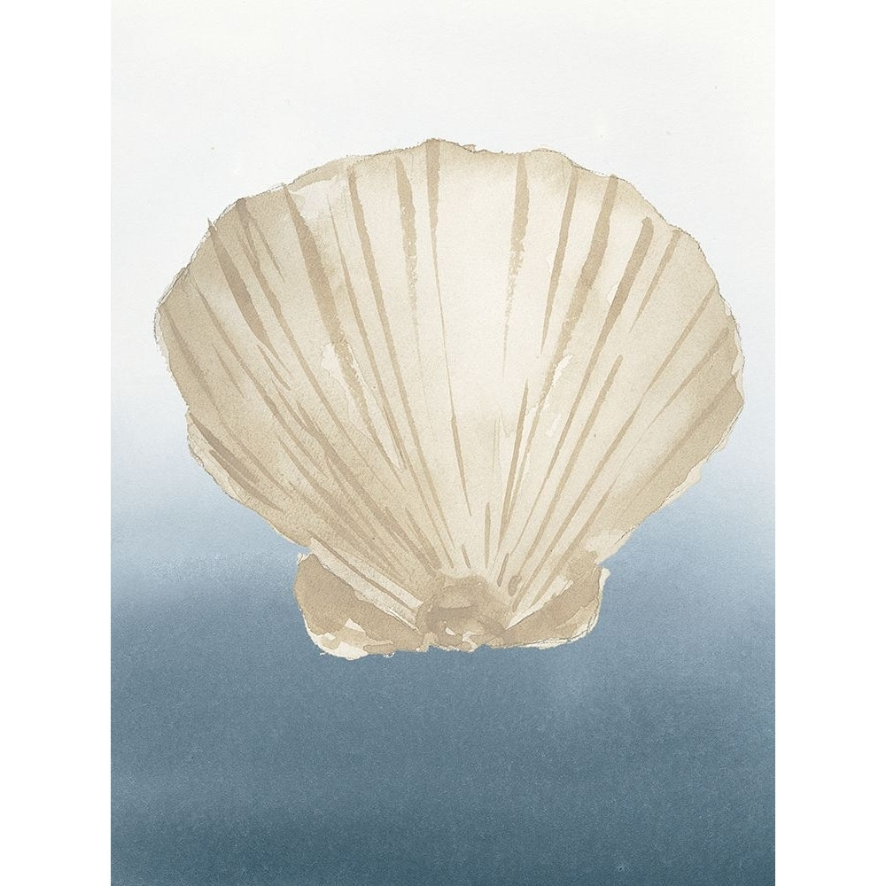 Coastal Tan Shell IV Poster Print - Lucille Price-VARPDX18734A Image 1