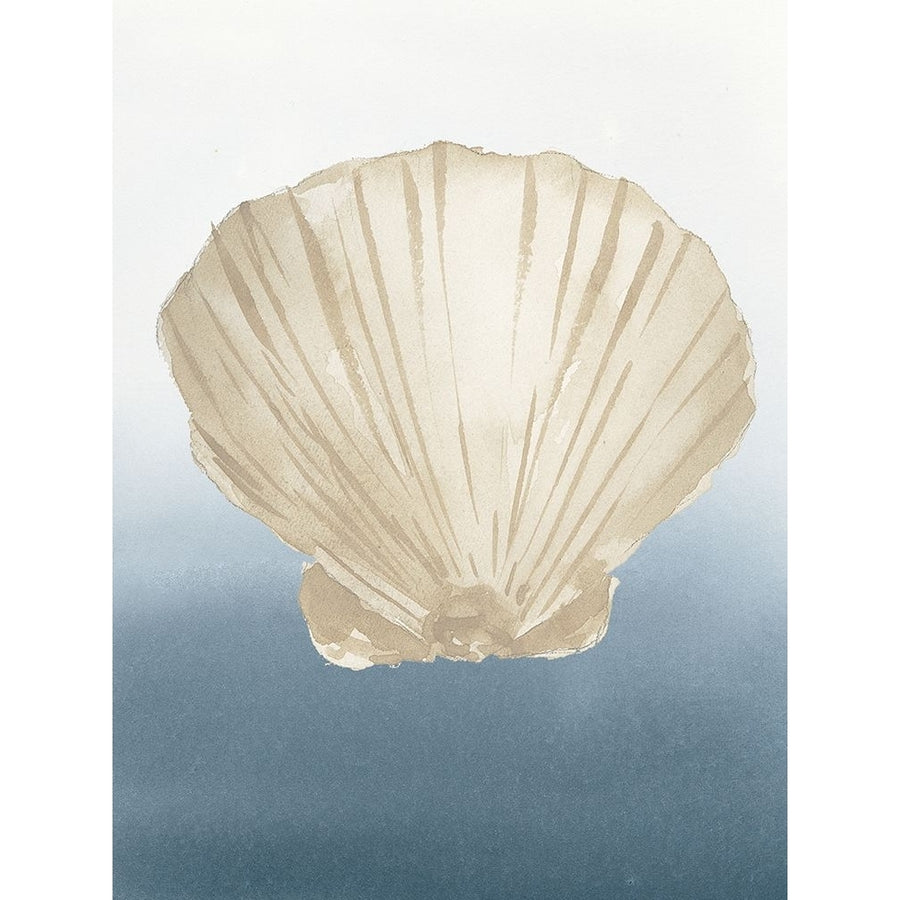 Coastal Tan Shell IV Poster Print - Lucille Price-VARPDX18734A Image 1