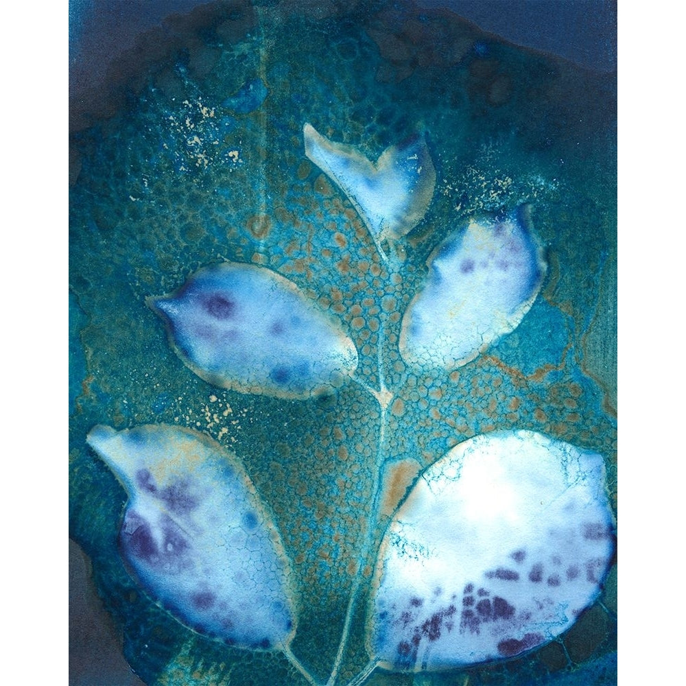 Cyanotype Leaves III Poster Print - Regina Moore-VARPDX187706FN Image 1