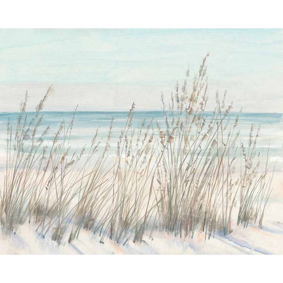 Beach Grass II Poster Print - Tim OToole-VARPDX187764Z Image 1