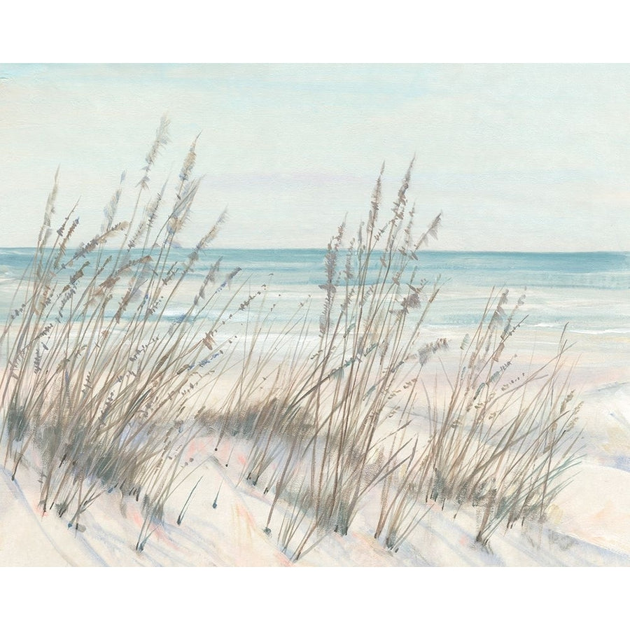 Beach Grass I Poster Print - Tim OToole-VARPDX187763Z Image 1