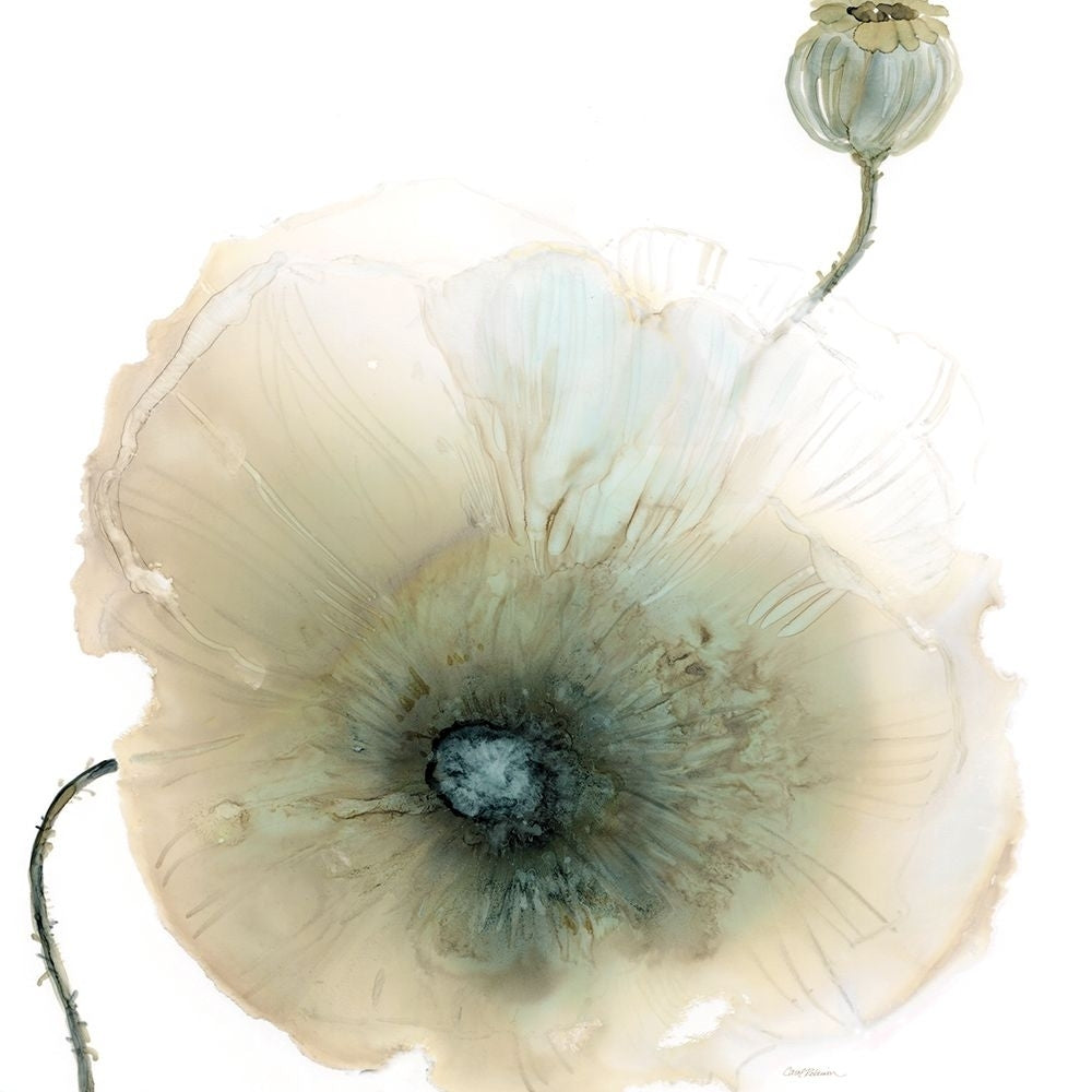 Iridescent Poppy I Poster Print - Carol Robinson-VARPDX18819 Image 1