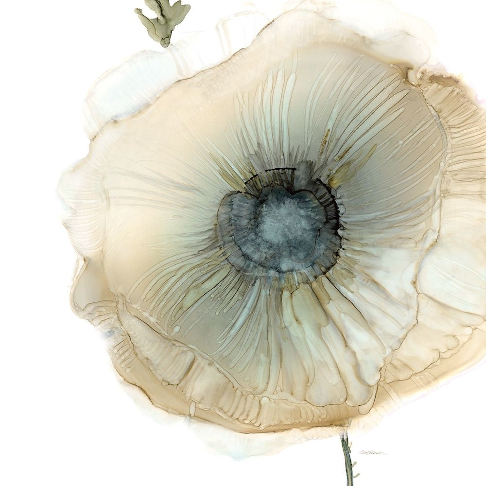 Iridescent Poppy II Poster Print - Carol Robinson-VARPDX18820 Image 1