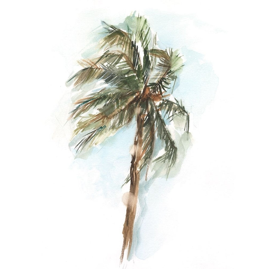 Watercolor Palm Study II Poster Print - Ethan Harper-VARPDX188504FN Image 1