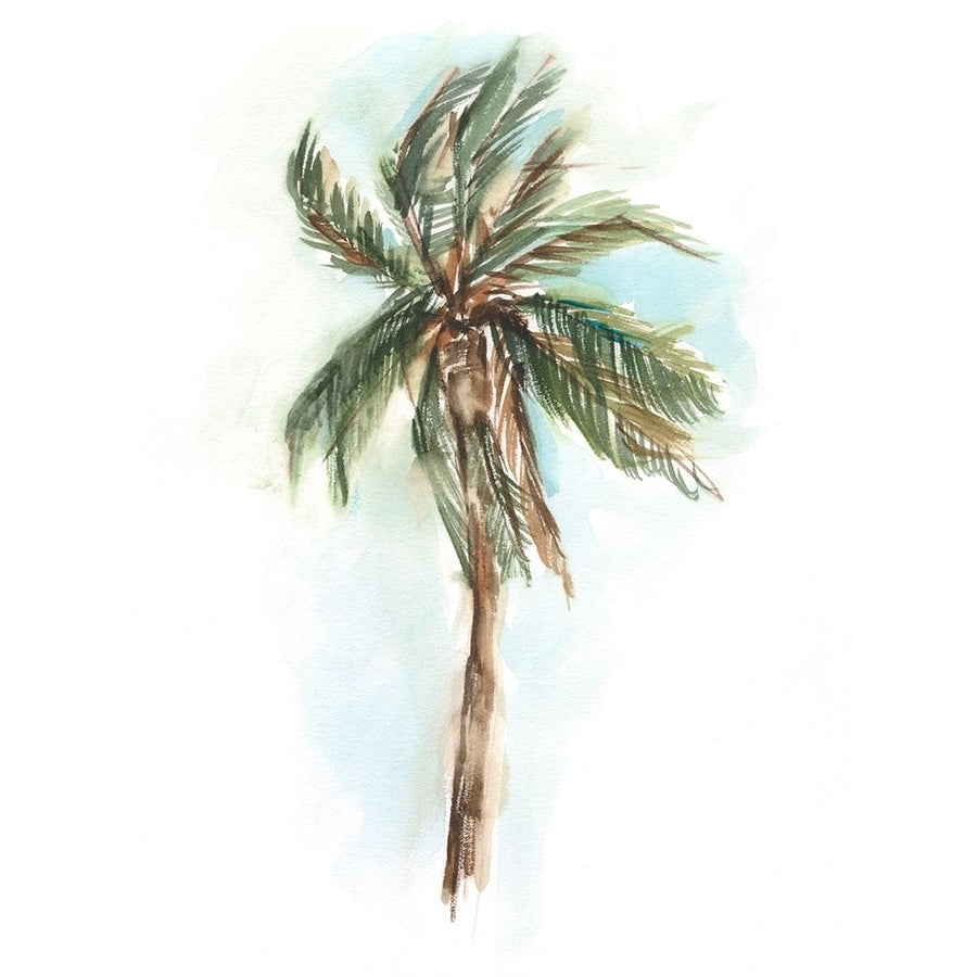 Watercolor Palm Study I Poster Print - Ethan Harper-VARPDX188503FN Image 1