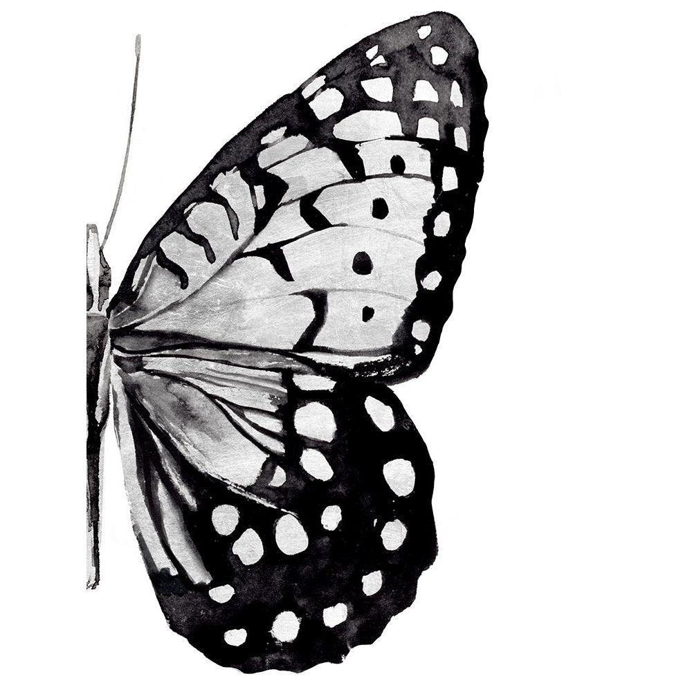 Monochrome Wings II Poster Print - Annie Warren-VARPDX188907Z Image 1