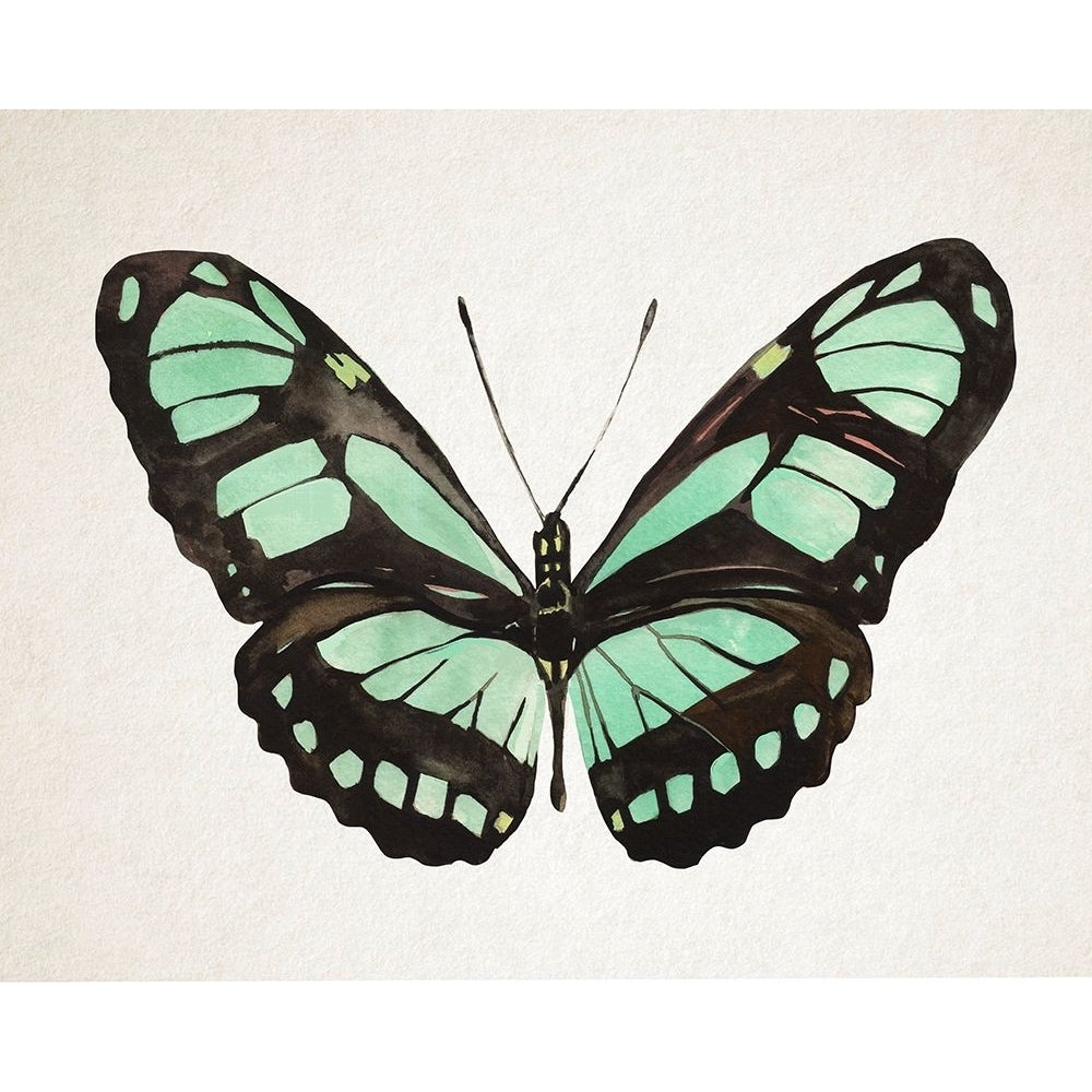 Mint Butterfly II Poster Print - Annie Warren-VARPDX188921Z Image 1