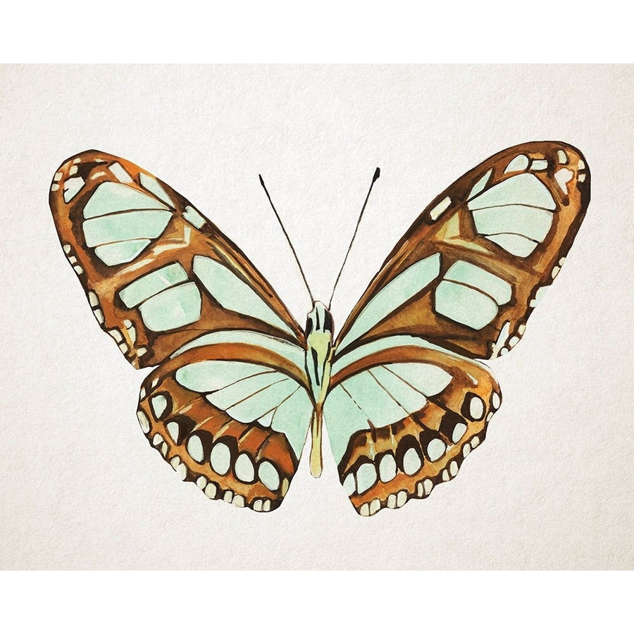 Mint Butterfly I Poster Print - Annie Warren-VARPDX188920Z Image 1