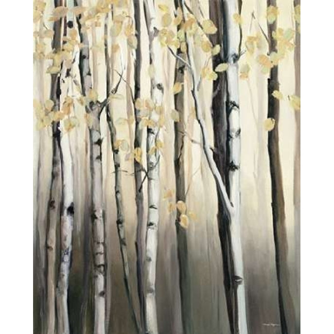 Golden Birch II Poster Print by Marilyn Hageman-VARPDX18935 Image 2