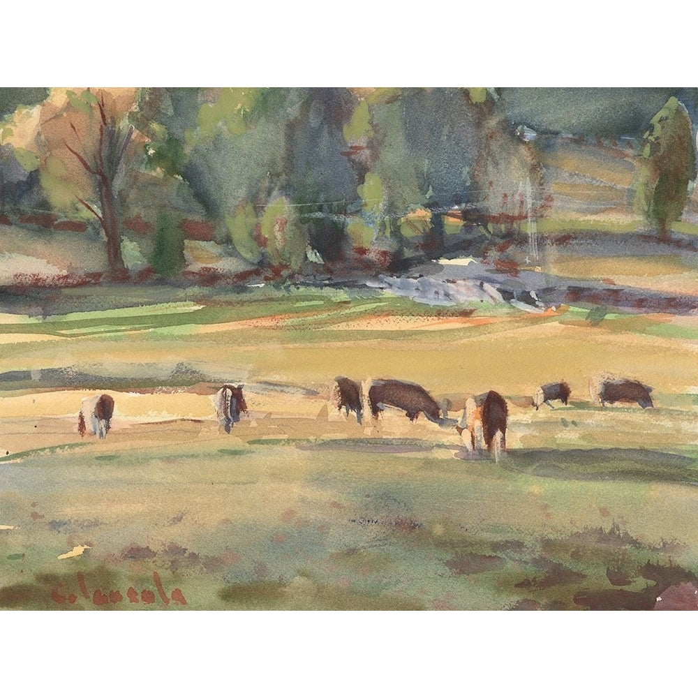 Grazing Cows Watercolor Poster Print - Stephen Calcasola-VARPDX189349Z Image 1