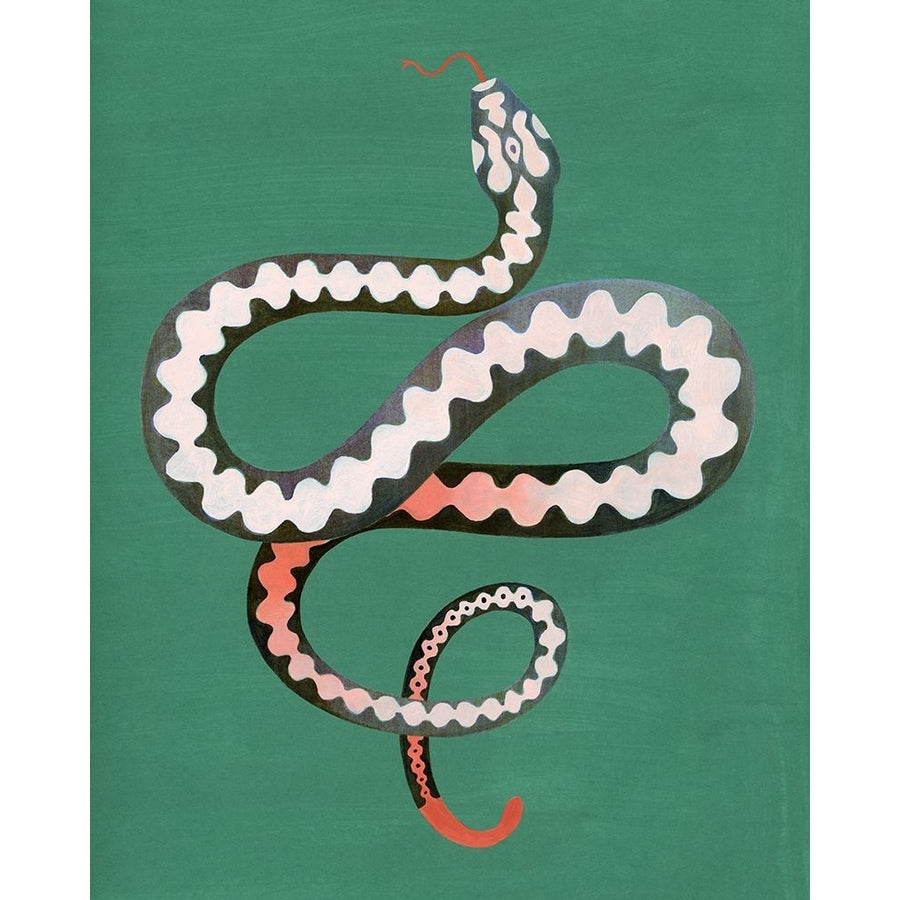 Serpent Shapes II Poster Print - Grace Popp-VARPDX189404Z Image 1