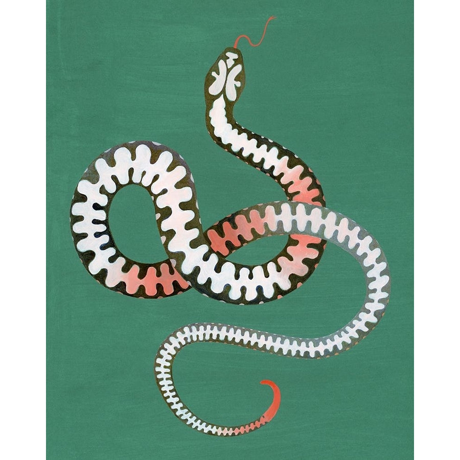 Serpent Shapes I Poster Print - Grace Popp-VARPDX189403Z Image 1