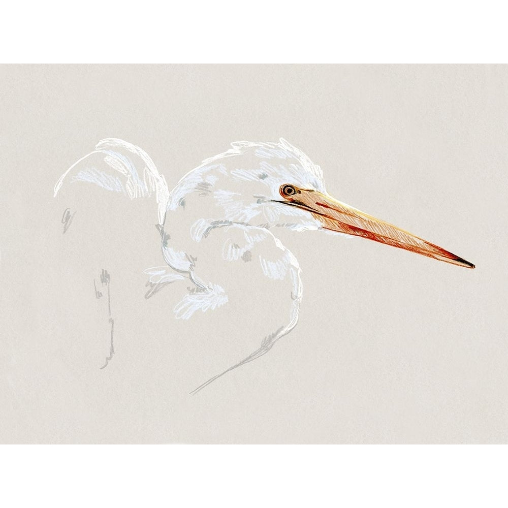 Bright Egret Sketch I Poster Print - Emma Caroline-VARPDX189607FN Image 1