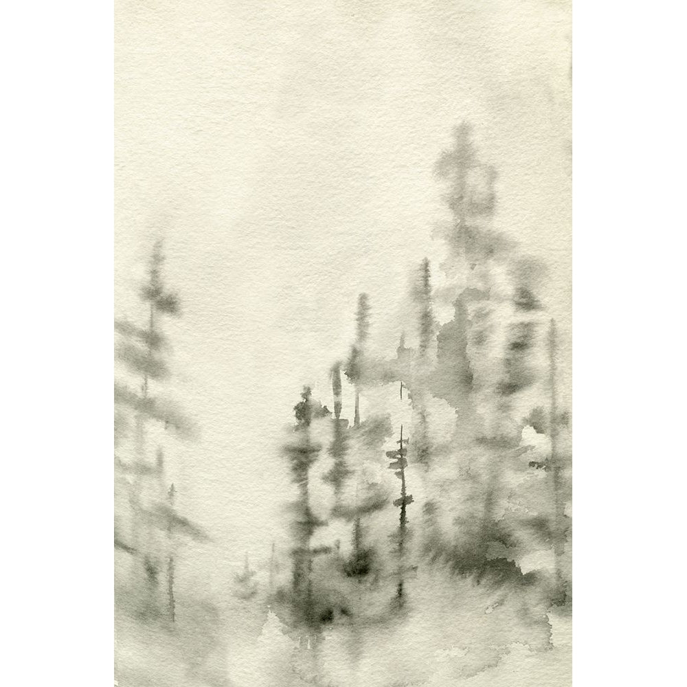 Foggy Pine Forest II Poster Print - Emma Caroline-VARPDX189635FN Image 1