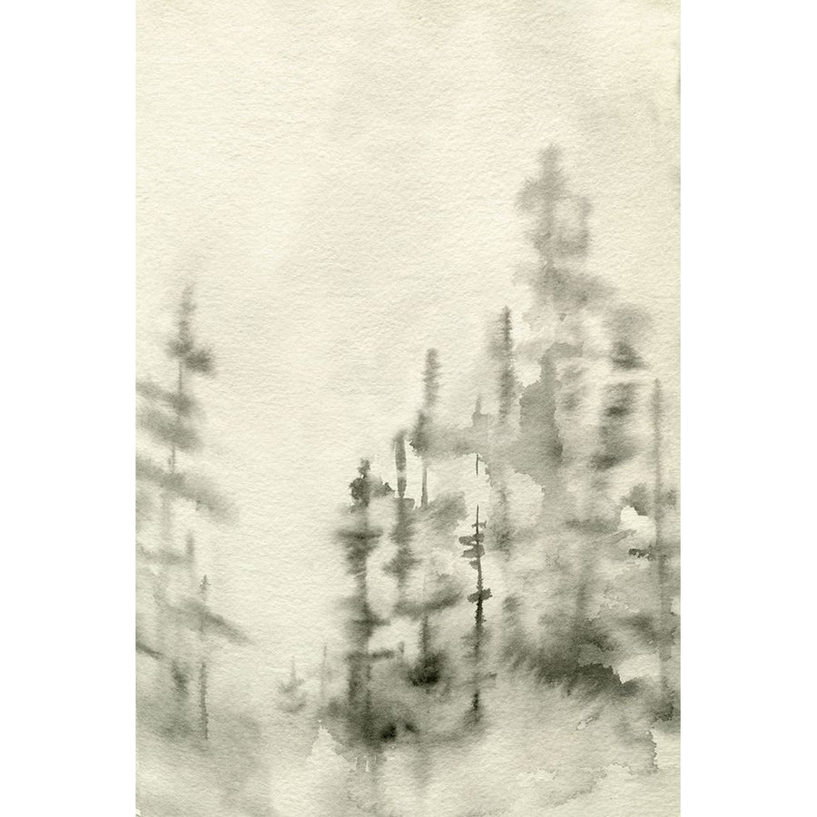 Foggy Pine Forest II Poster Print - Emma Caroline-VARPDX189635FN Image 1