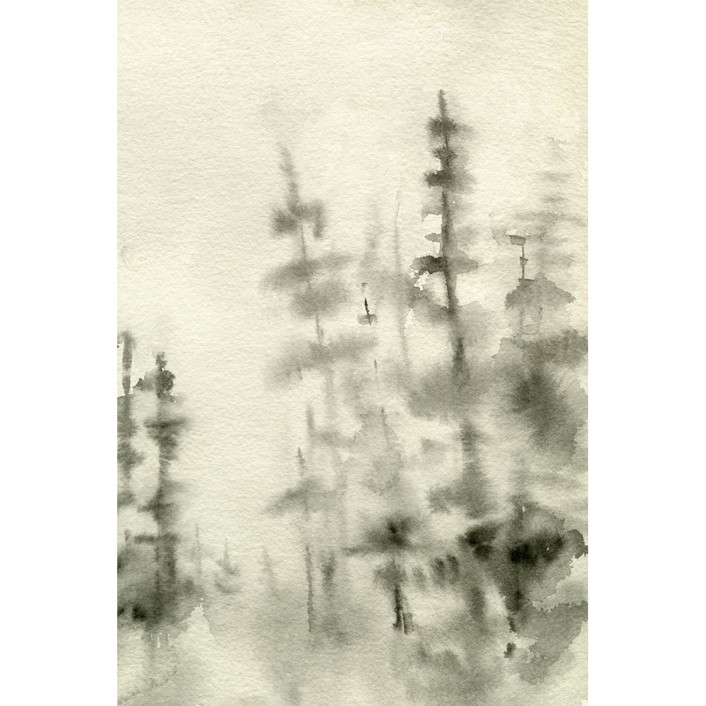 Foggy Pine Forest I Poster Print - Emma Caroline-VARPDX189634FN Image 1