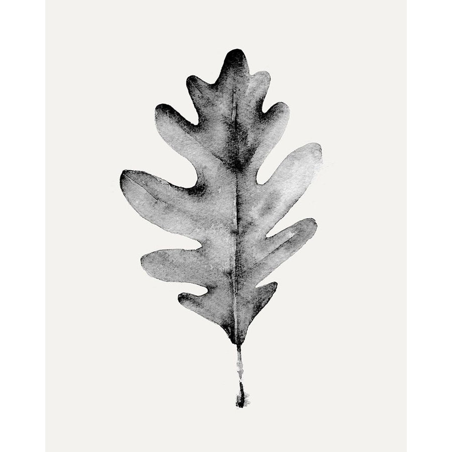 Smoky Oak Leaf I Poster Print - Emma Caroline-VARPDX189718Z Image 1