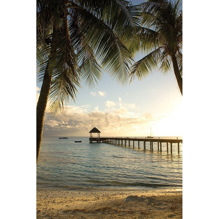 Pier and Palm Poster Print by Danita Delimont-VARPDX18998 Image 1